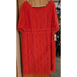 🦃NWT Women's 24W Jessica Howard Dress